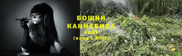 индика Приозерск