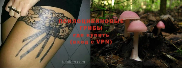 индика Приозерск