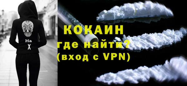 индика Приозерск