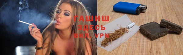 индика Приозерск