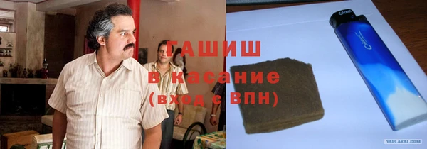 индика Приозерск