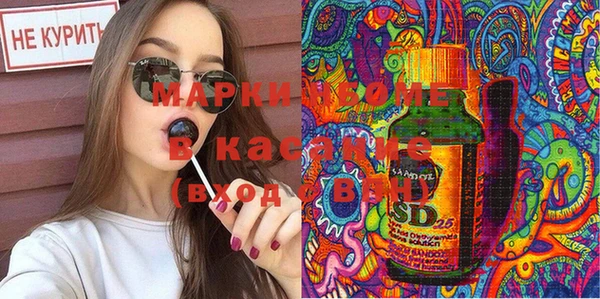 индика Приозерск
