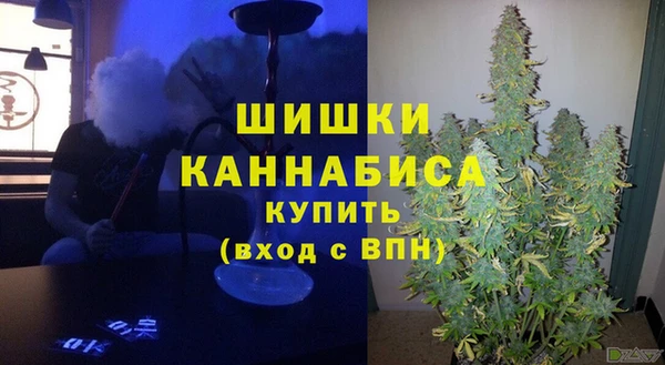 индика Приозерск