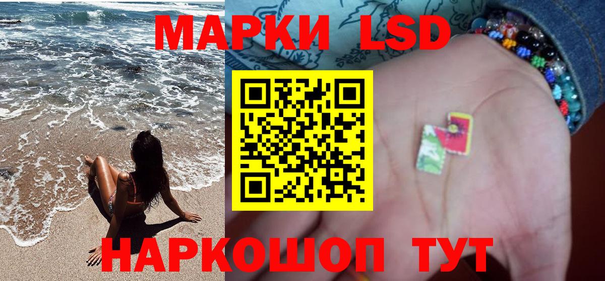 Альфа ПВП Великие Луки