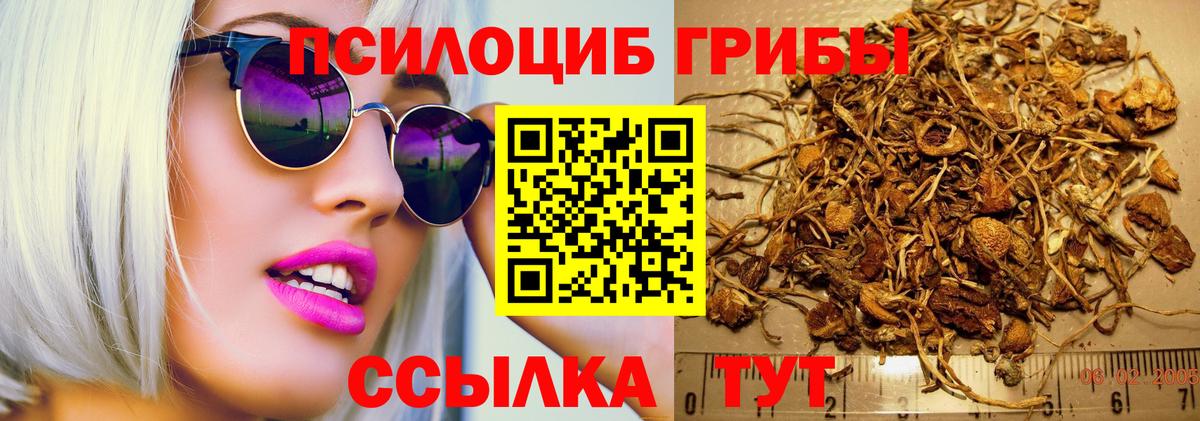 Галлюциногенные грибы GOLDEN TEACHER Великие Луки