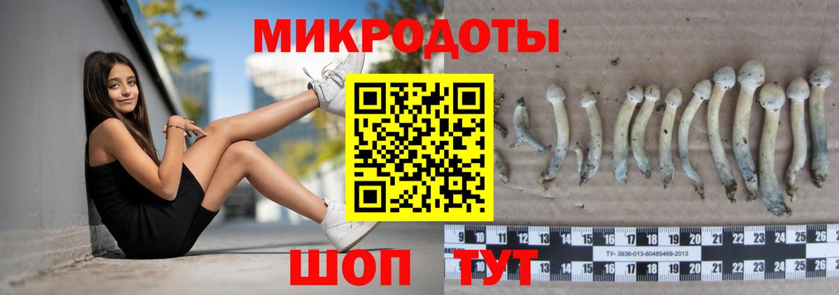 Галлюциногенные грибы GOLDEN TEACHER  Великие Луки 